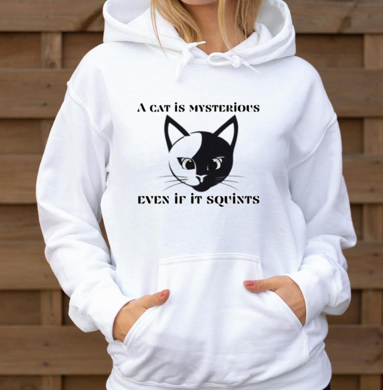 « A cat is mysterious even if it squints » - Unisex Hoodie