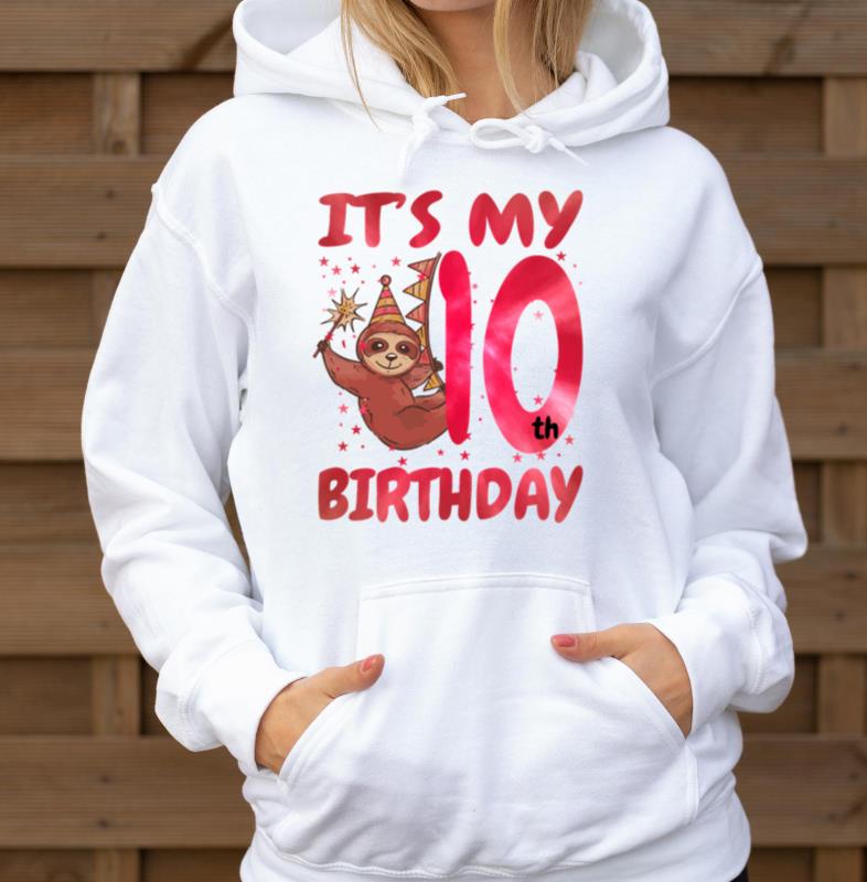 10th Birthday Cute Sloth Party Hat Themed - Unisex Hoodie