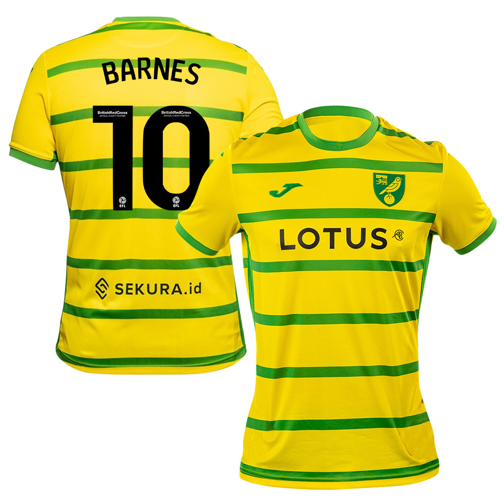Ashley Barnes 10 Norwich City 2023/24 Home Men Jersey – Yellow