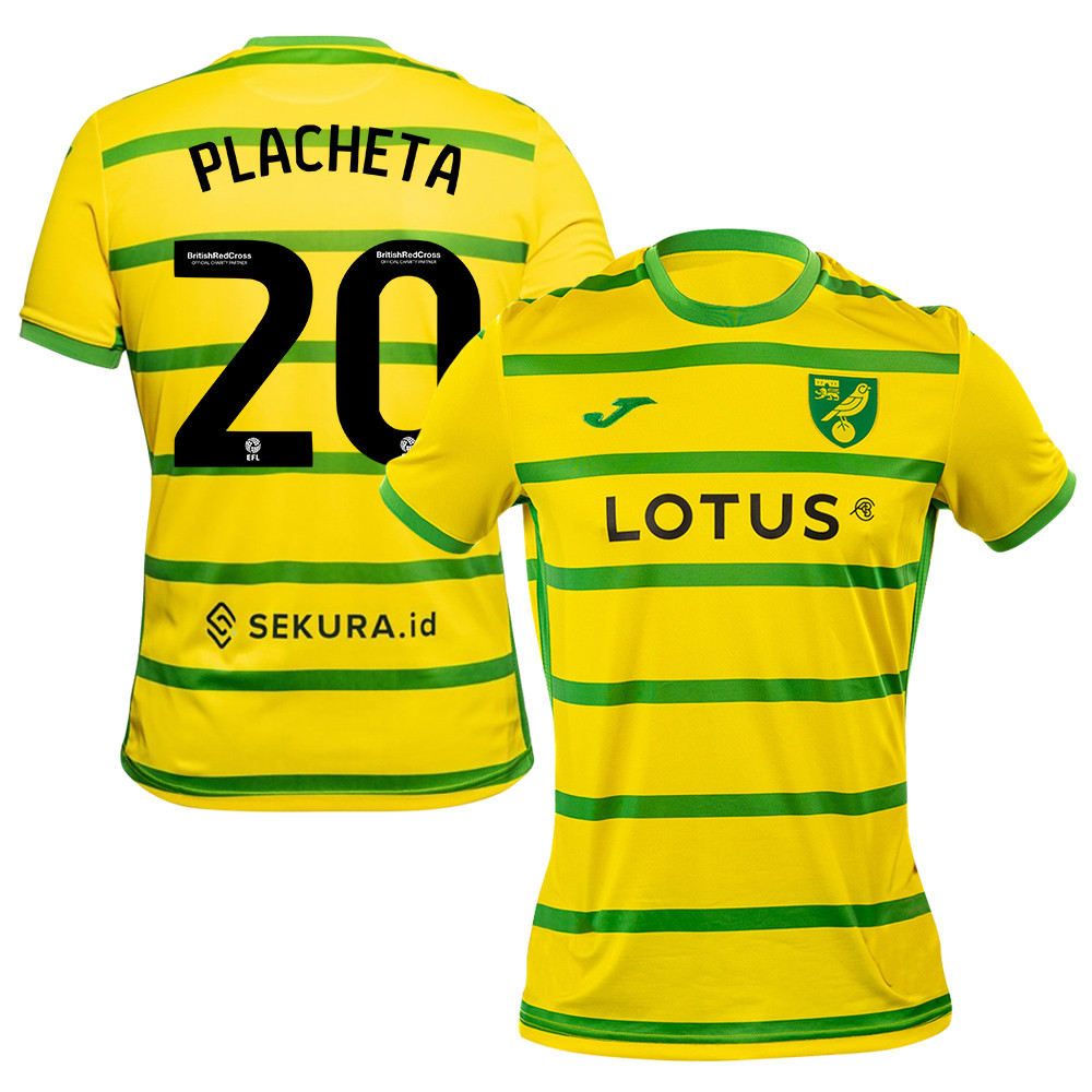 Przemyslaw Placheta 20 Norwich City 2023/24 Home Men Jersey – Yellow
