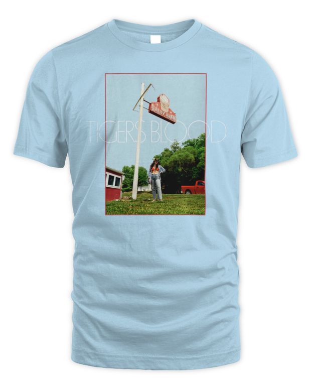 Inhaler Merch Big Album Text Shirt - Unisex Standard T-Shirt
