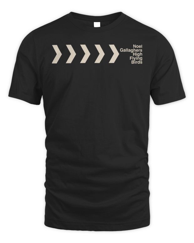 Noel Gallagher Merch 2023 Tour Chevron Shirt - Unisex Standard T-Shirt