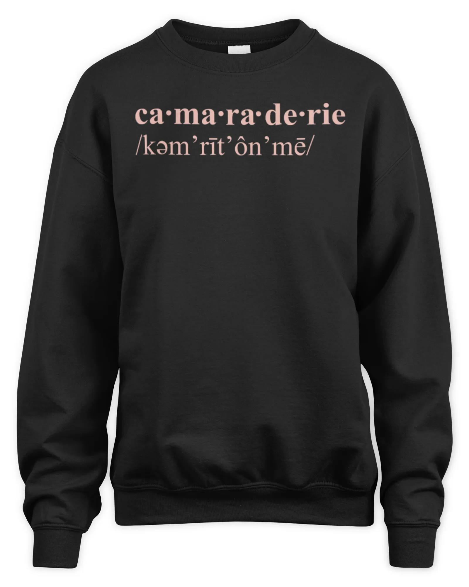 Sweatshirt Sabrina Carpenter Merch Tour Camaraderie 2024, Premium Sweaer