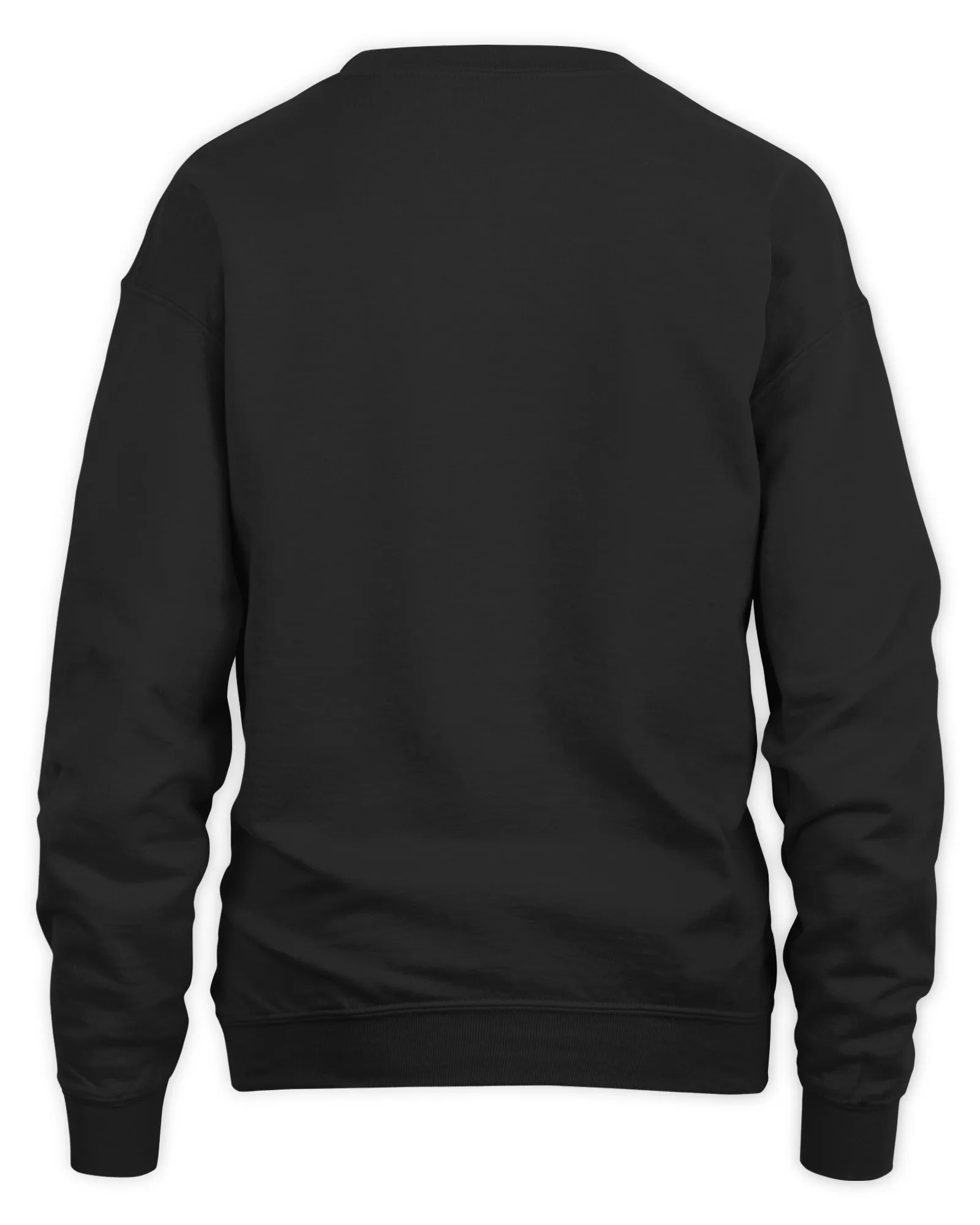 Sweatshirt Blink-182 One More Time Concert Photo Clothing, Premium Sweaer