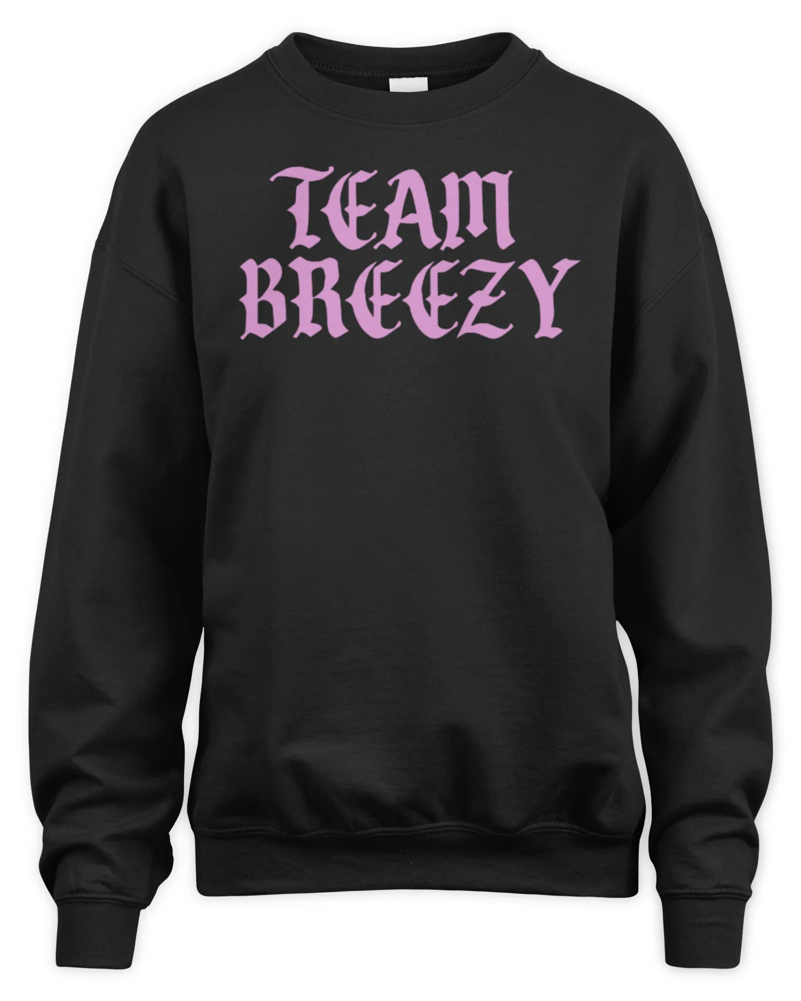 Sweatshirt Shop Chris Brown Merch Team Breezy, Premium Sweaer