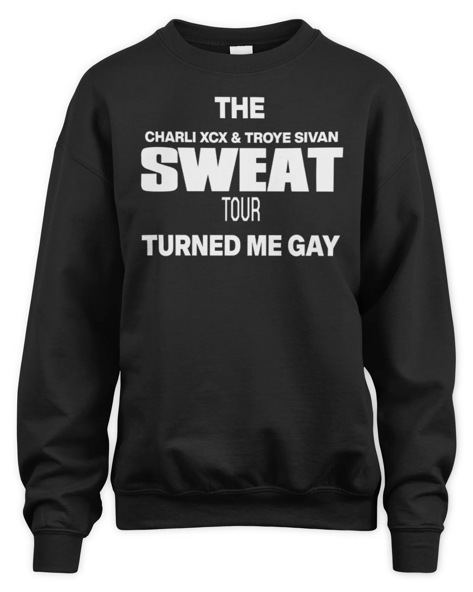 Sweatshirt The Charli XCX & Troye Sivan Sweat Tour Turned Me Gay, Premium Sweaer