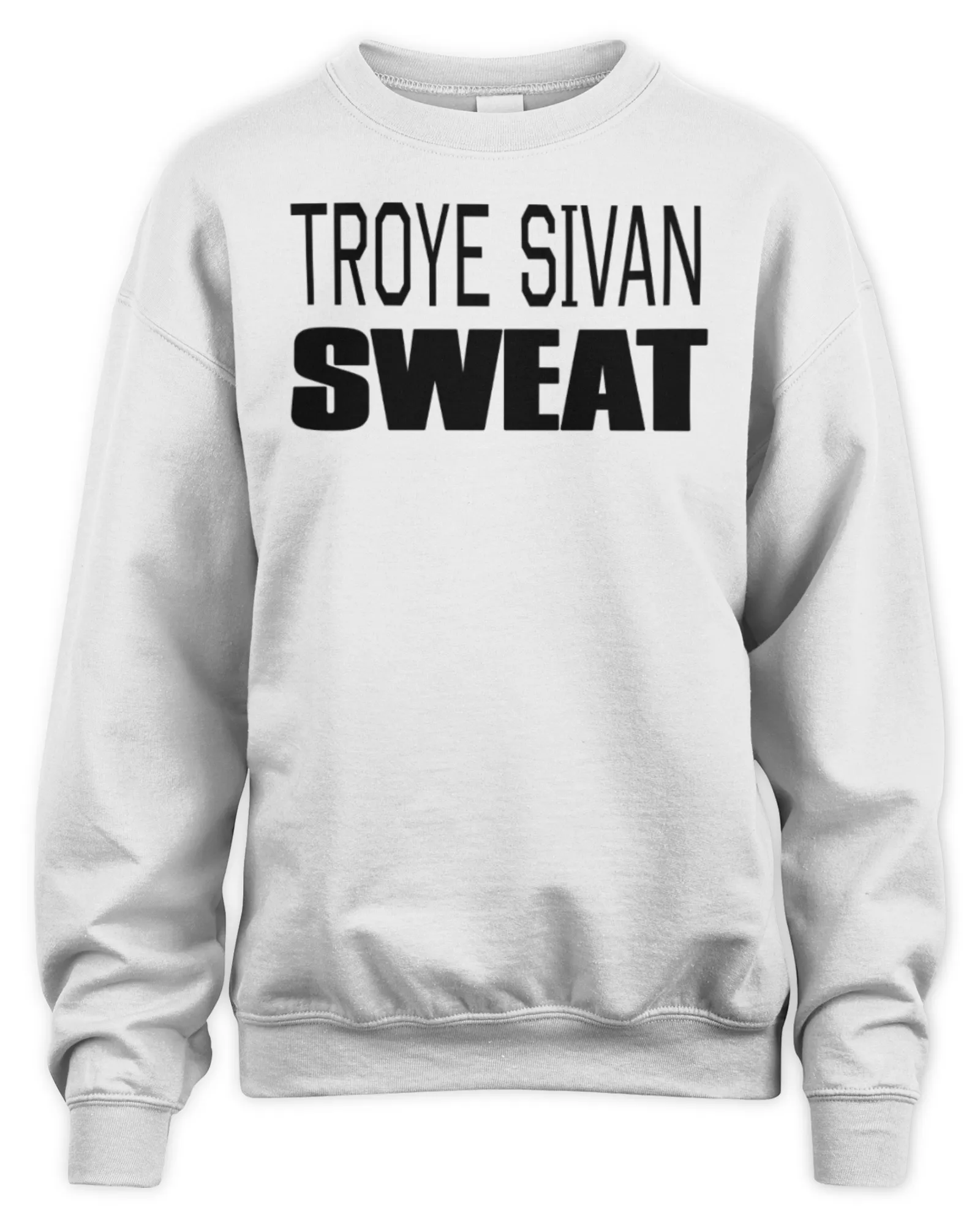 Sweatshirt Charli Xcx Merch Troye Sivan Sweat, Premium Sweaer