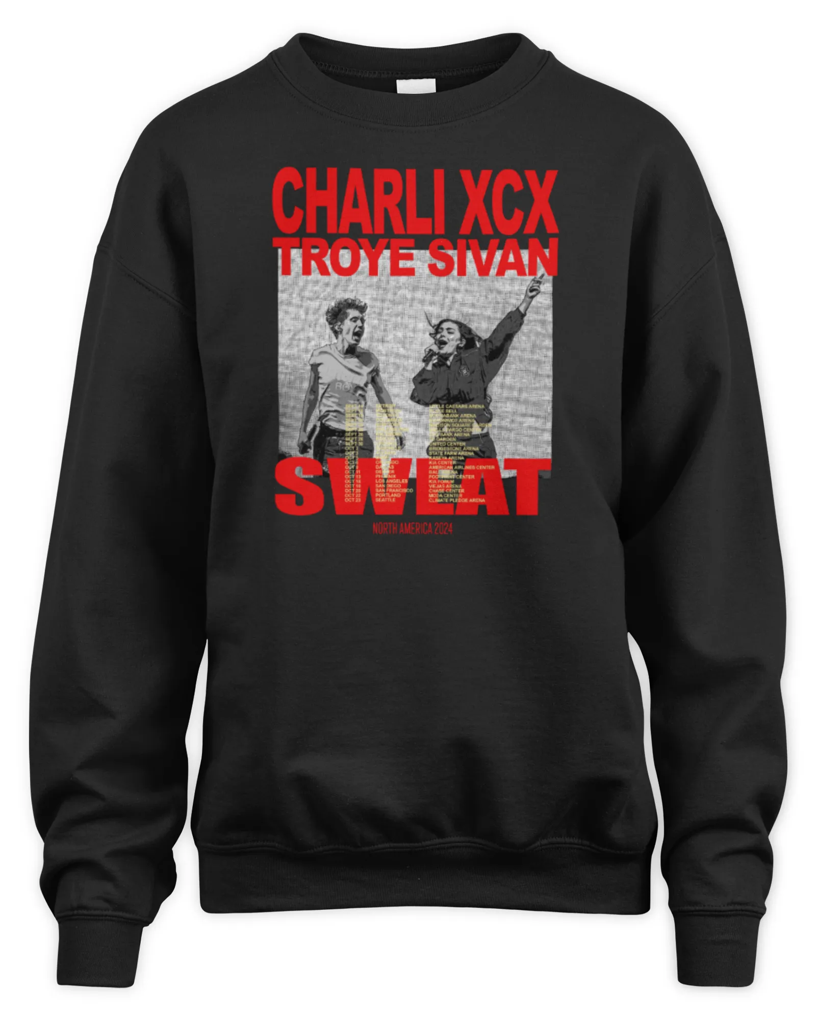 Sweatshirt Charli Xcx Troye Sivan Tour Merch Sweat Tour 2024, Premium Sweaer