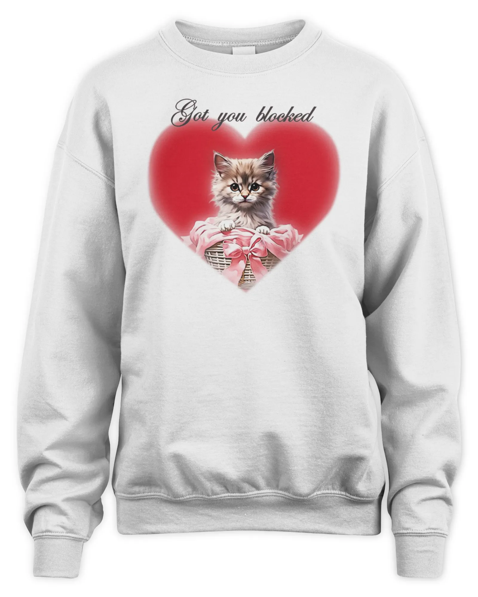 Sweatshirt Sabrina Carpenter Merch Got You Blocked, Premium Sweaer