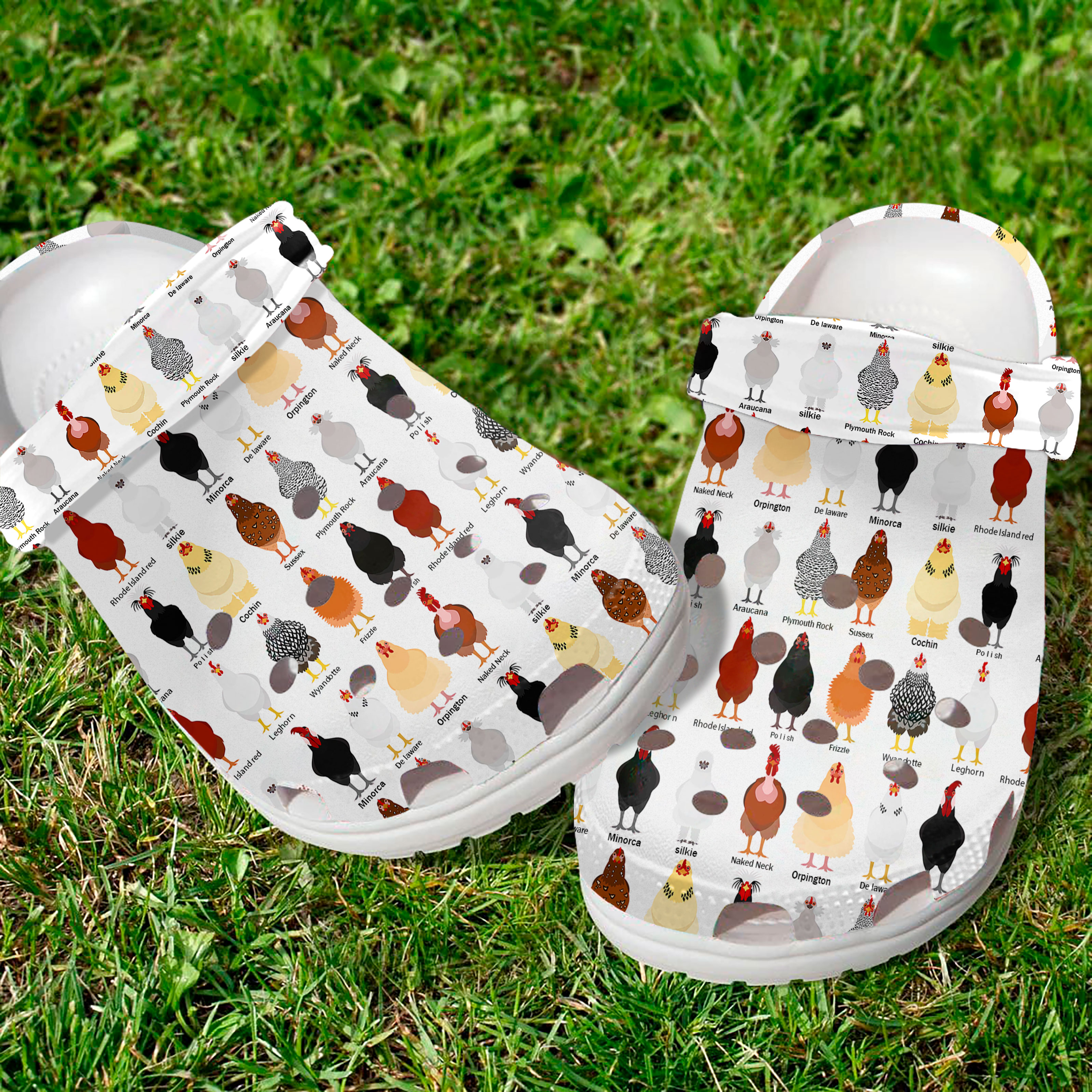 Chicken Crocs For Men Women And Kids - GNL1461019