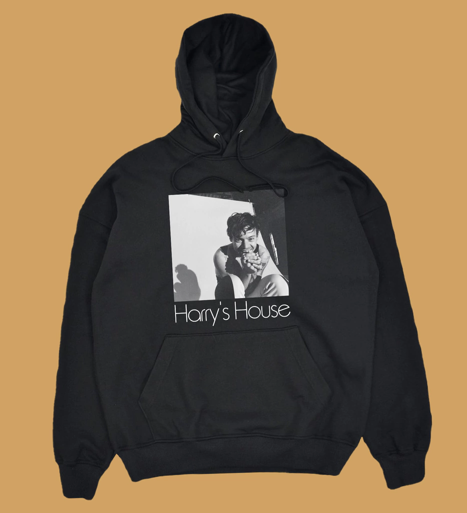 Vintage Led Zeppelin Fan Shirt, Led Zeppelin Swan Song Coda Unisex T-Shirt