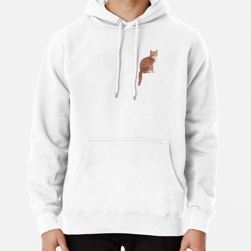 CUTY  STRAY CAT IMAGE (front) 30th Pullover Hoodie