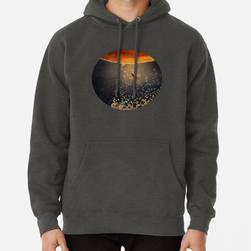 Toward the sun Pullover Hoodie