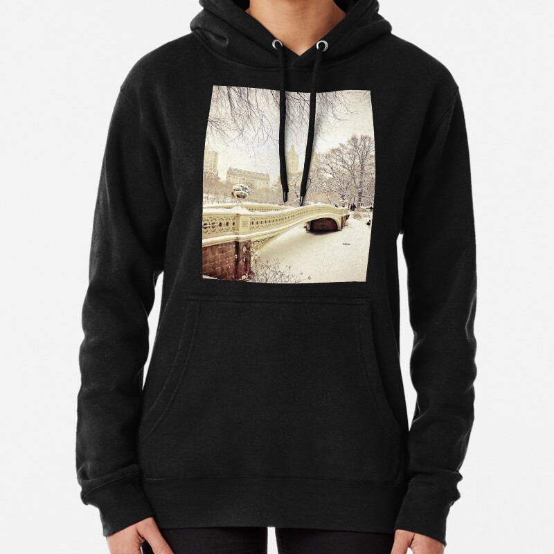 Winter in Central Park Pullover Hoodie