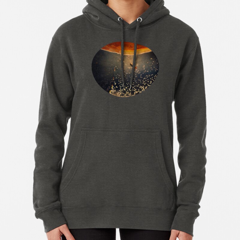 Toward the sun Pullover Hoodie