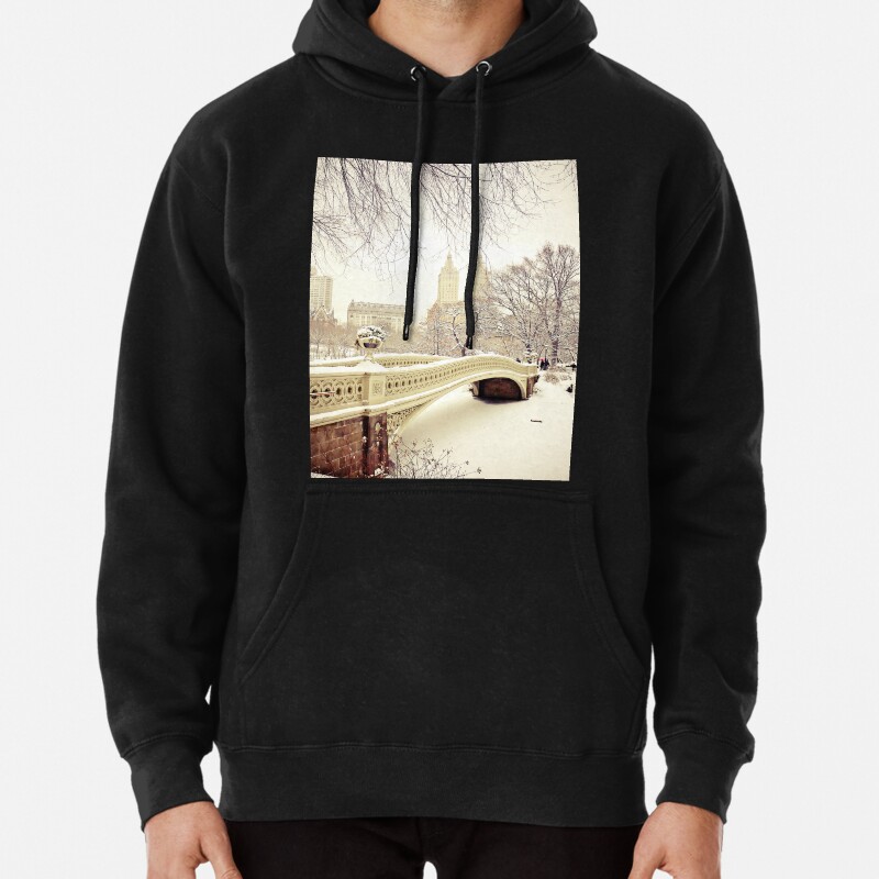 Winter in Central Park Pullover Hoodie