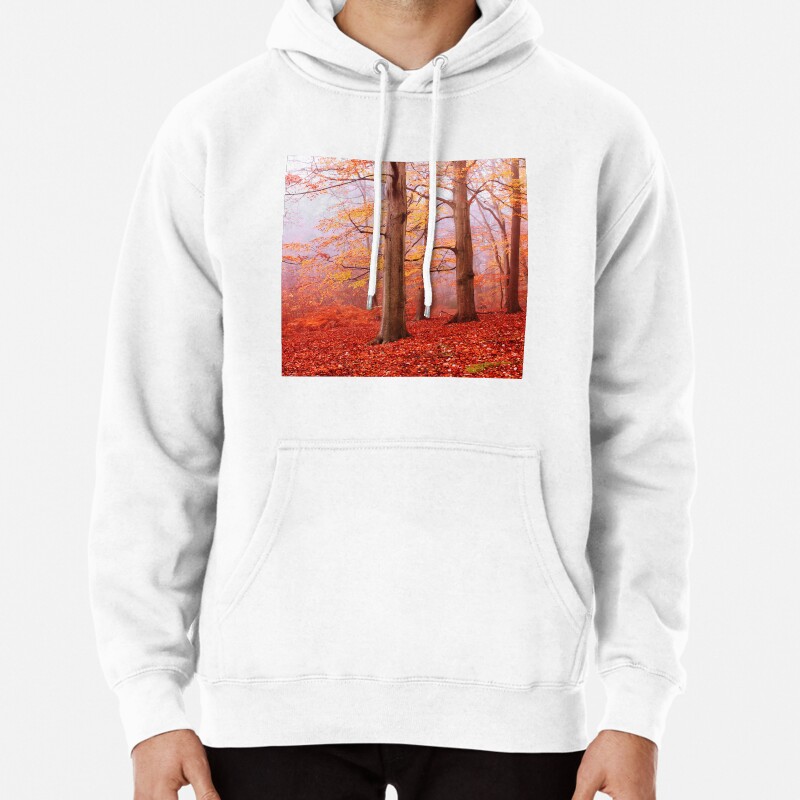 Burnham Beeches November Pullover Hoodie