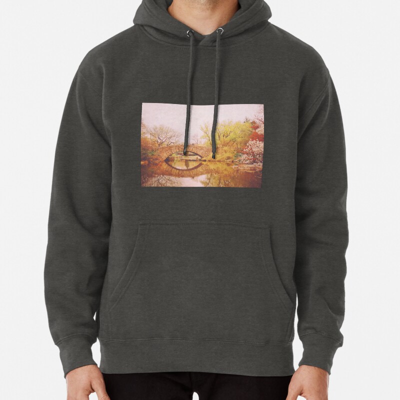 Beautiful Autumn Landscape - Central Park - New York City Pullover Hoodie