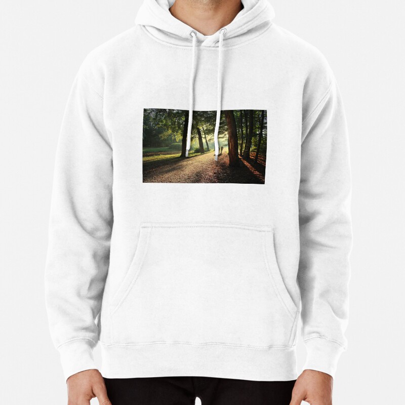 Conversation Pullover Hoodie