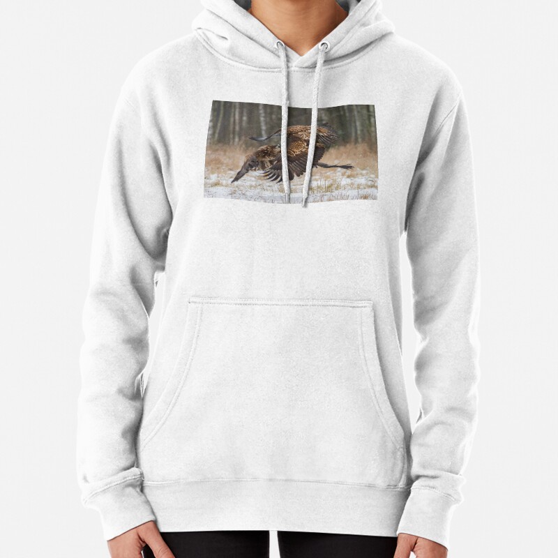 Mid-air encounter Pullover Hoodie