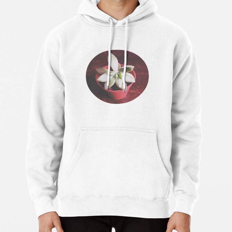Little Guy Pullover Hoodie