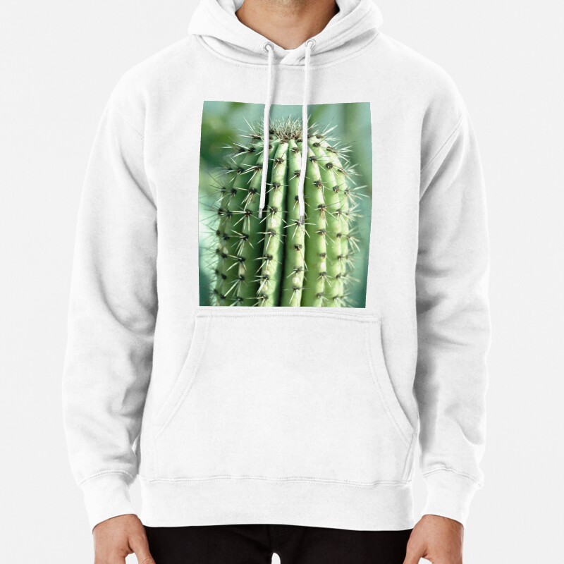 Cactus photography Pullover Hoodie