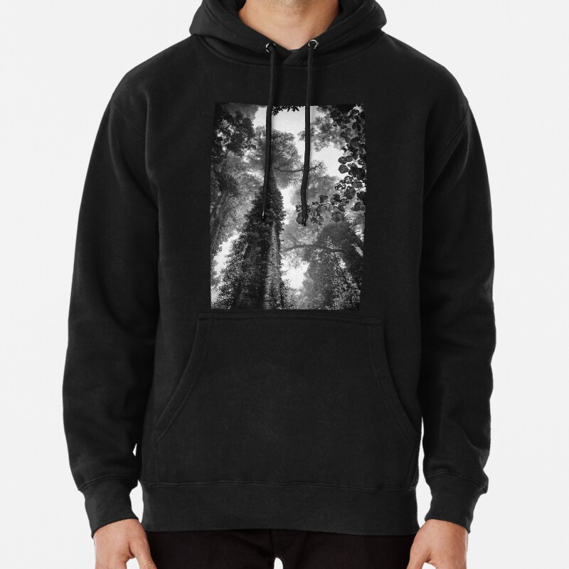Look up - and up and up! Pullover Hoodie