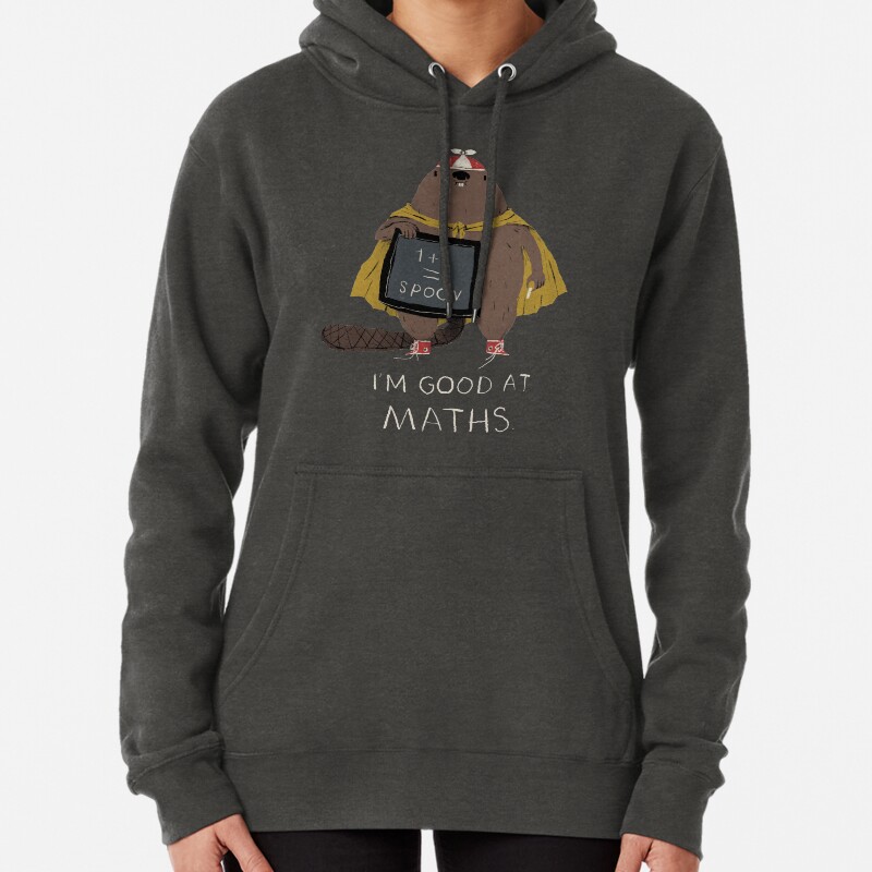 Im good at maths Pullover Hoodie