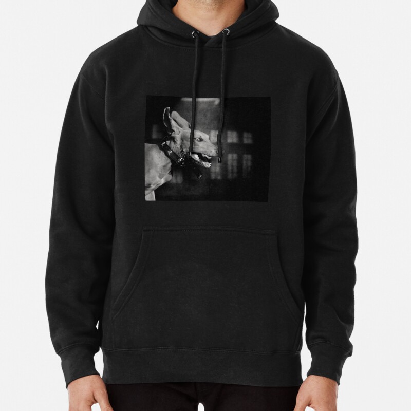 Dogs with game face on 27 Pullover Hoodie