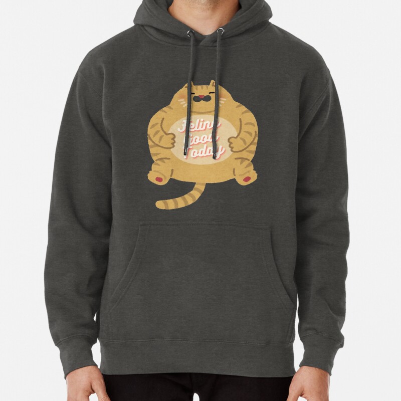Feline Good Today Cute Chubby Cat  Pullover Hoodie