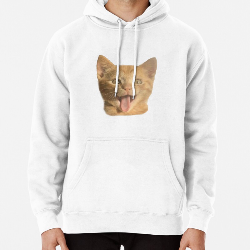 Cute Orange Cat Pullover Hoodie