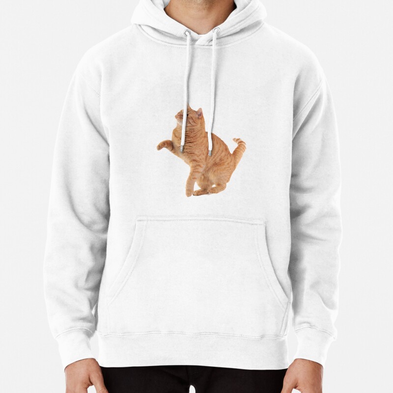 Cute Cat Pullover Hoodie