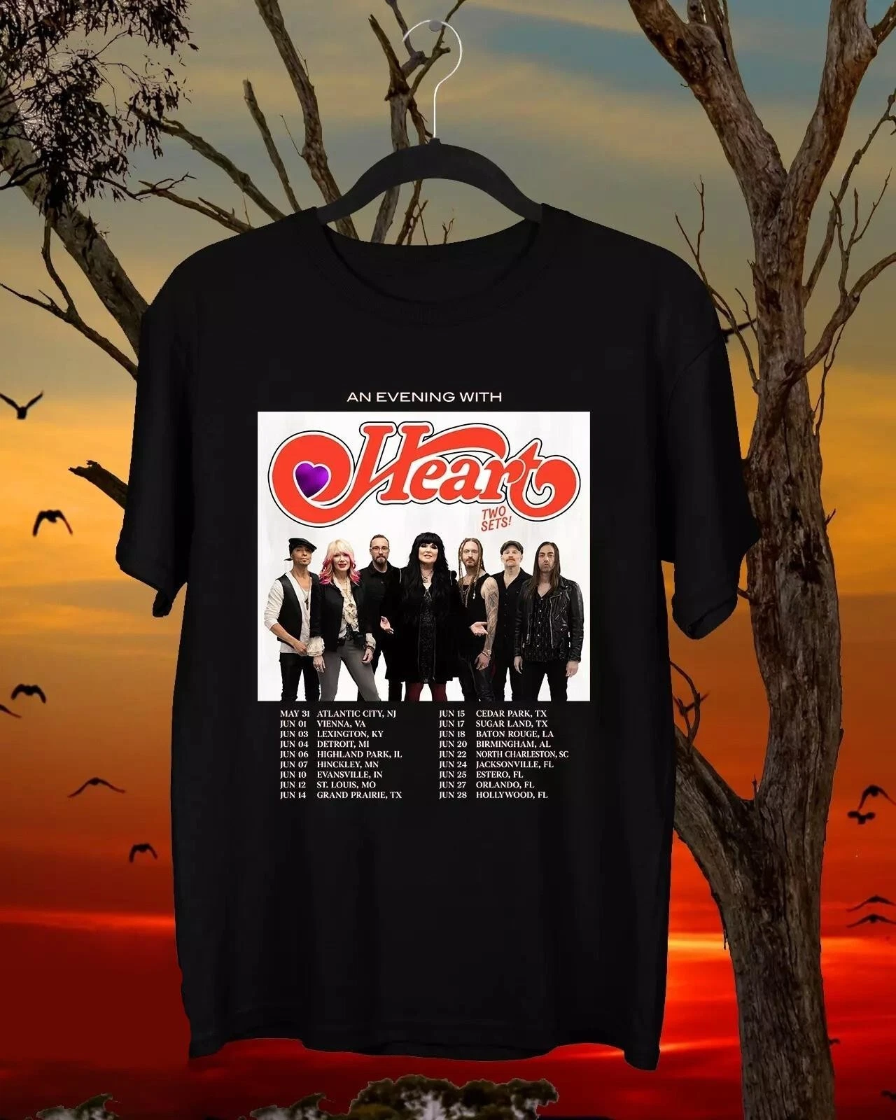 An Evening With Heart Band Tour 2025 Shirt