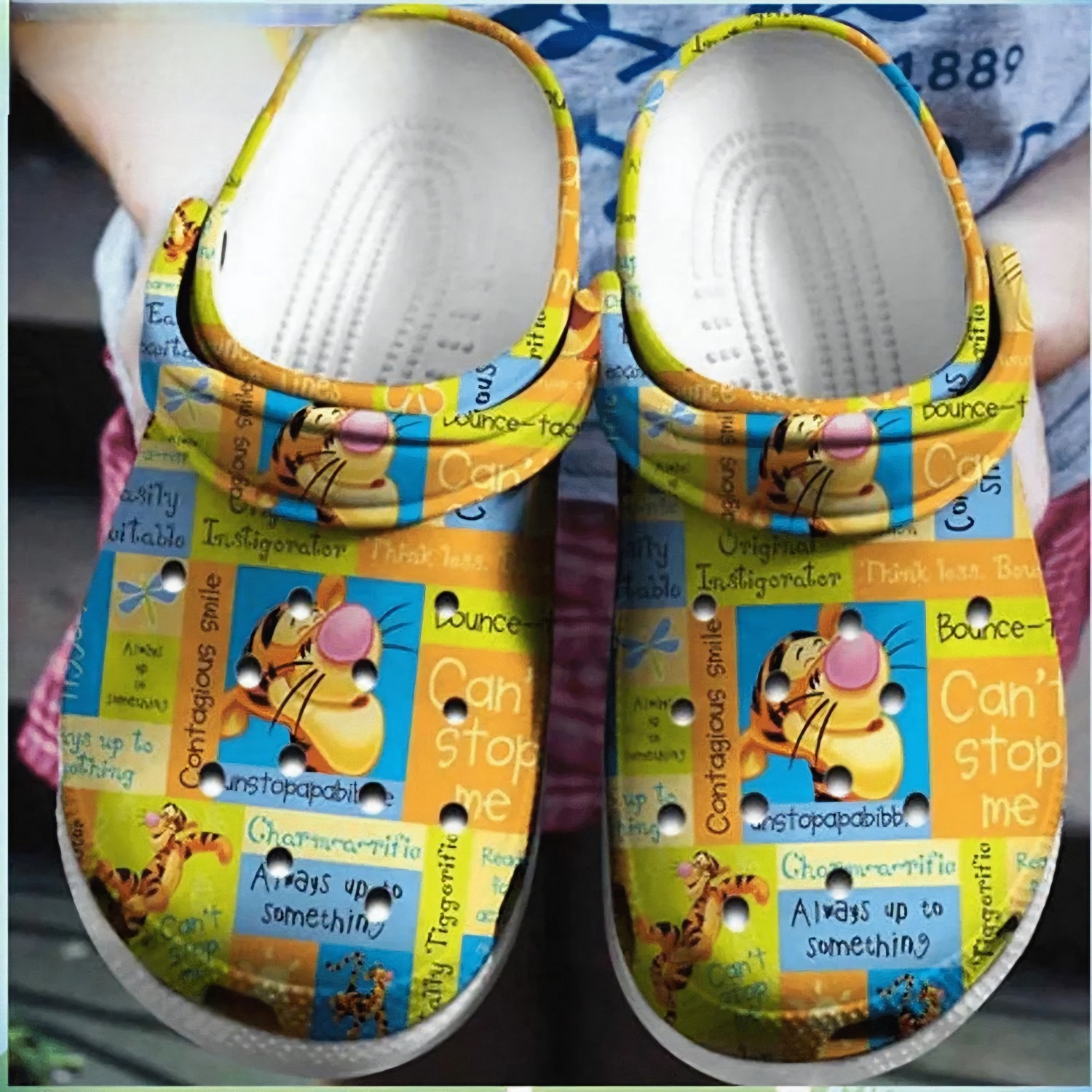 Happy Tigger Winnie The Pooh Can Stop Me Crocs Clogs For Men Women and Kids