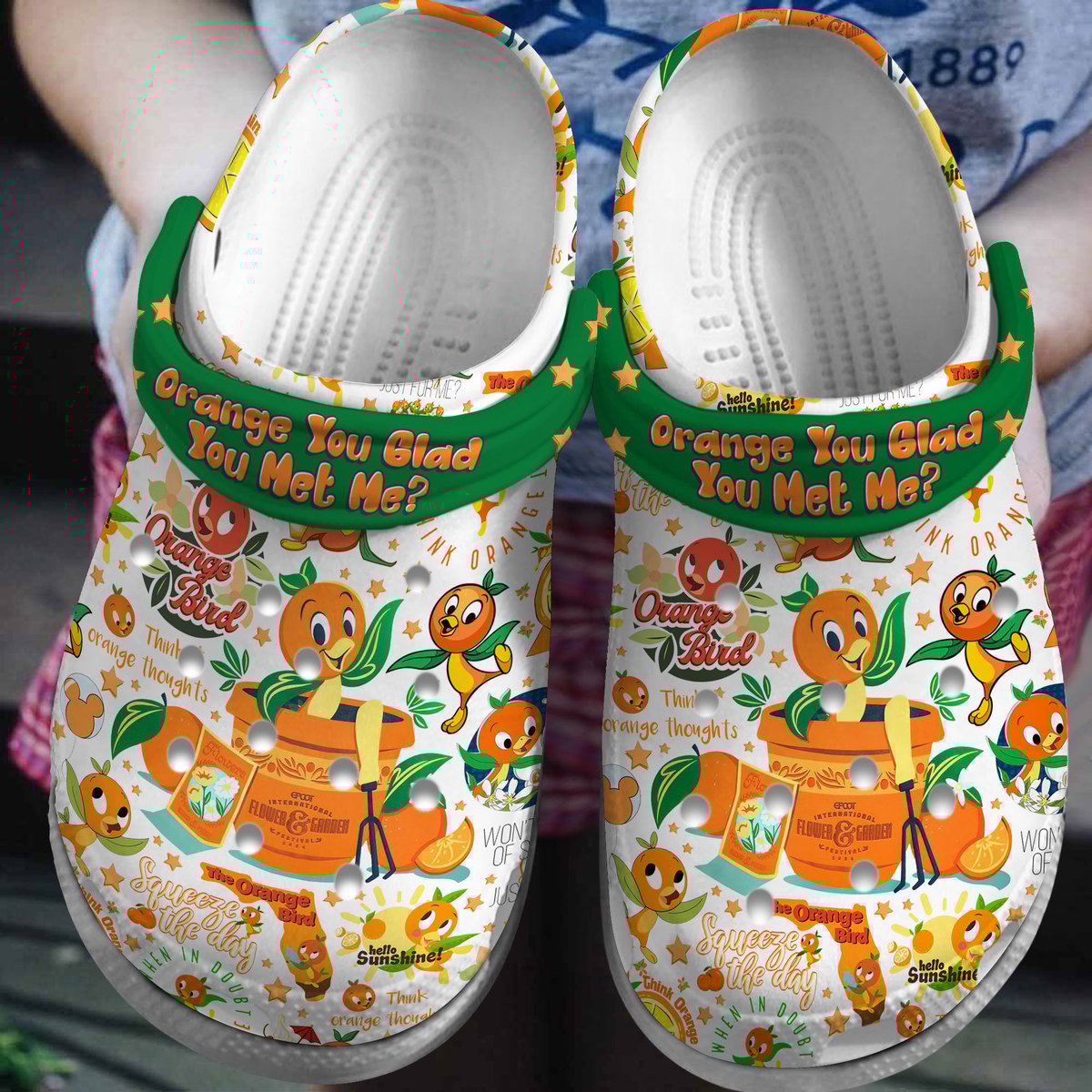 Orange You Glad You Met Me Cartoon Crocs, Orange You Glad Comfortable For Men Women And Kids