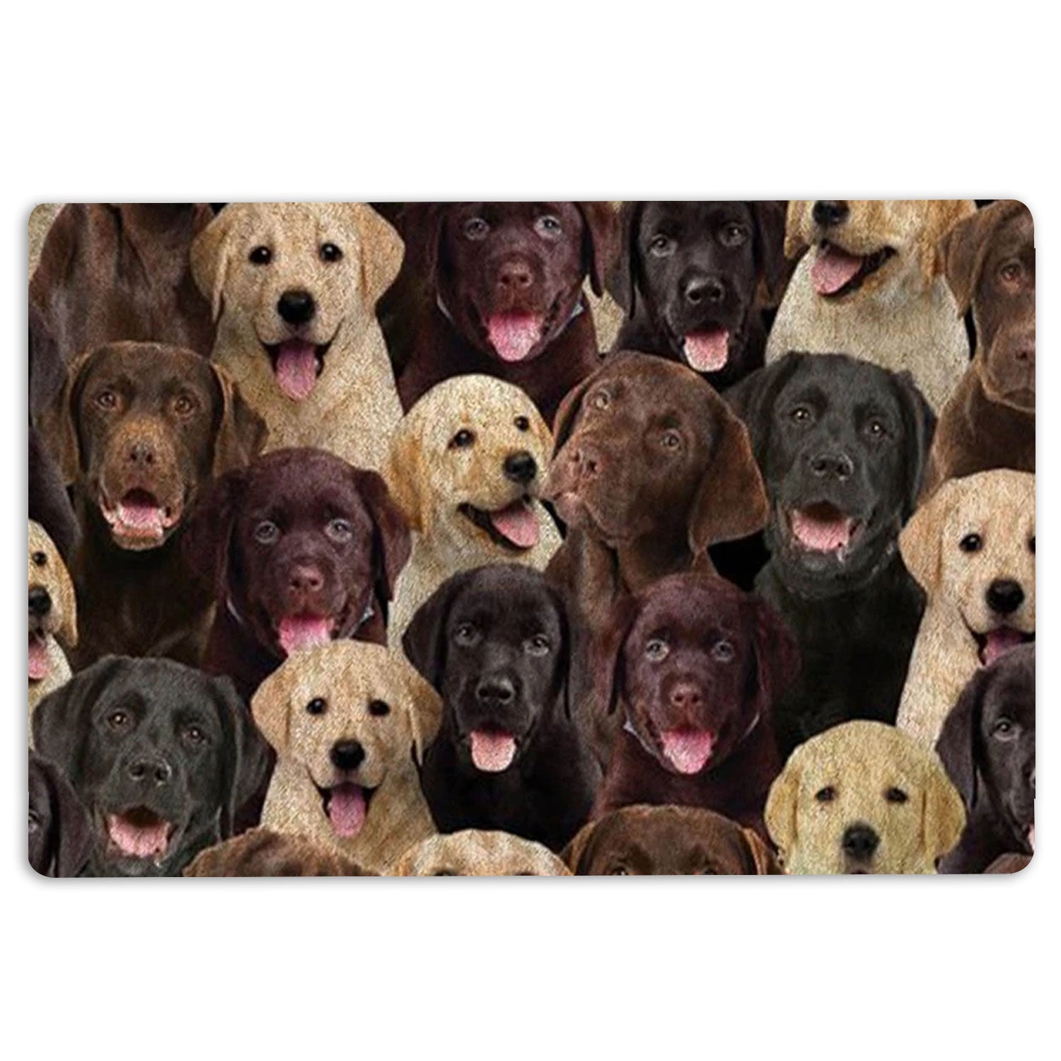Labrador Retriever Rubber Doormat, A Bunch Of Labrador Retriever Dog Pattern Gifts For Dog Lover Welcome Doormat, Indoor Outdoor Door Mat, Home Decor