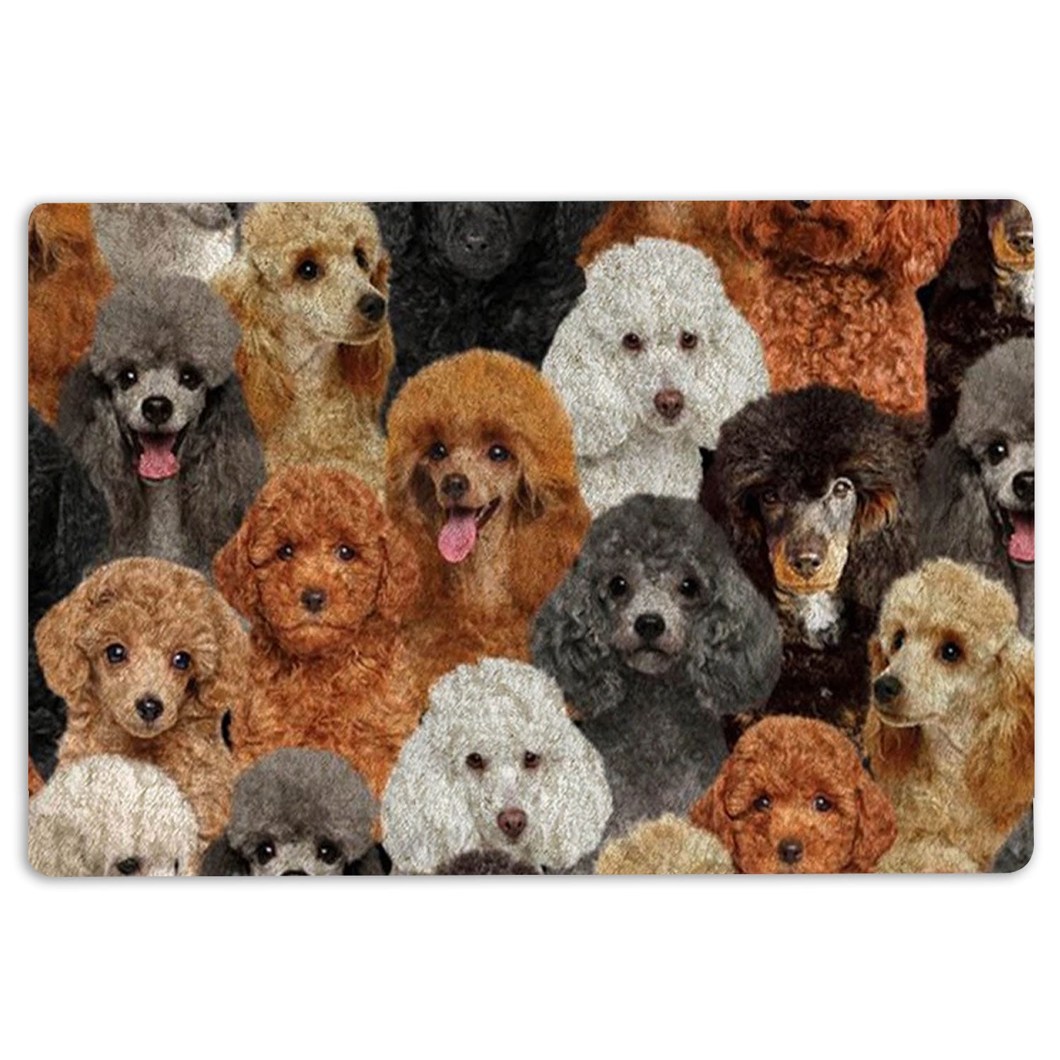 Poodle Rubber Doormat, A Bunch Of Poodles Dog Pattern Gifts For Dog Lover Welcome Doormat, Indoor Outdoor Door Mat, Home Decor