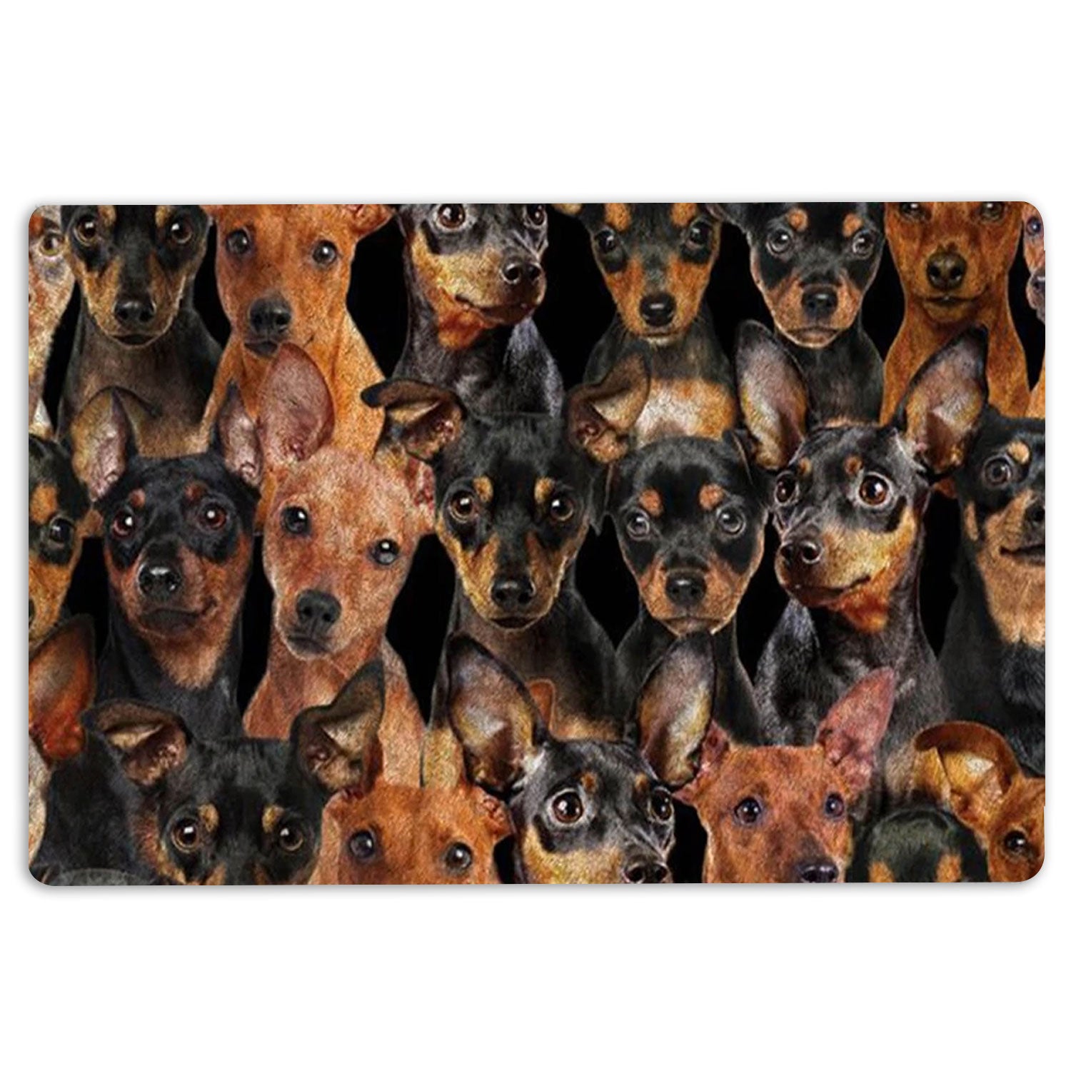 Miniature Pinscher Rubber Doormat, A Bunch Of Miniature Pinschers Dog Pattern Gifts For Dog Lover Welcome Doormat, Indoor Outdoor Door Mat, Home Decor