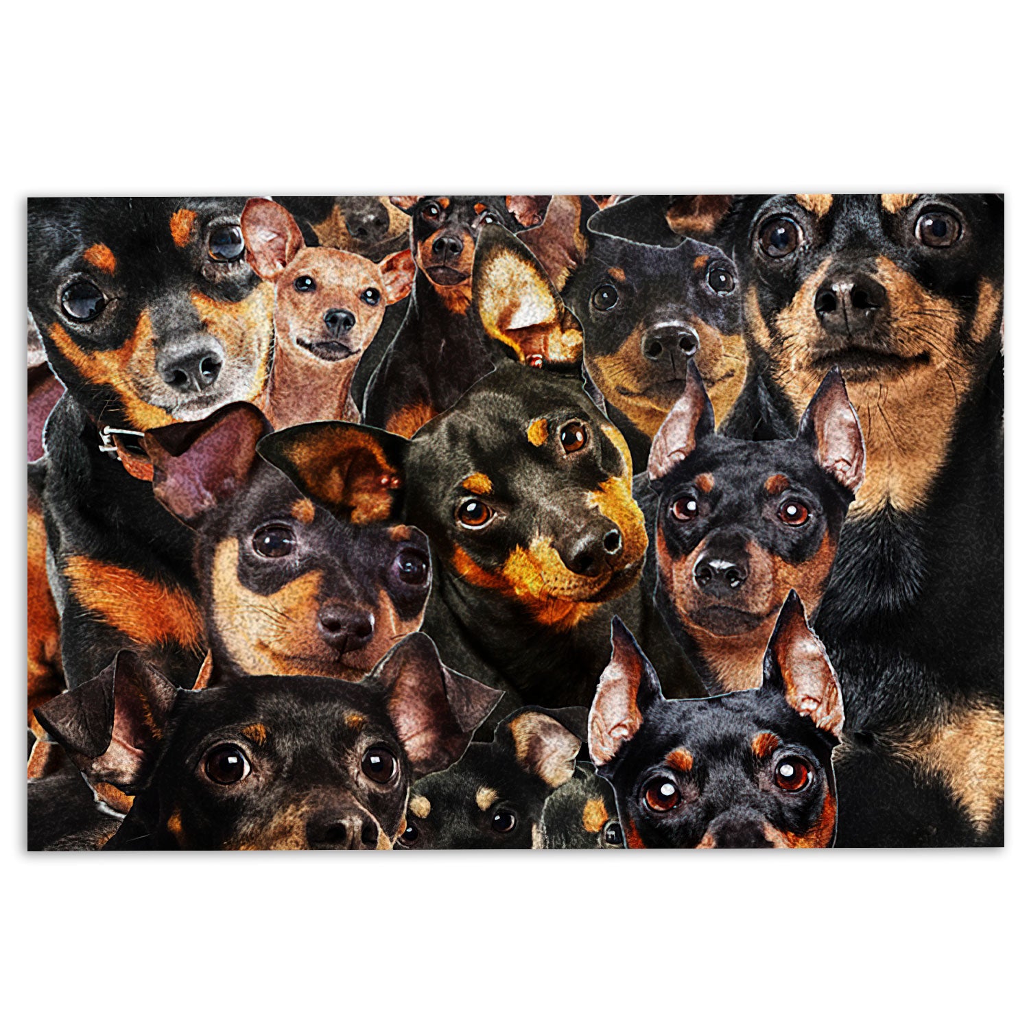 Miniature Pinscher Rubber Doormat, Funny Miniature Pinscher Dogs Faces Hope You Like Dog Hair Welcome Doormat, Indoor Outdoor Door Mat, Home Decor