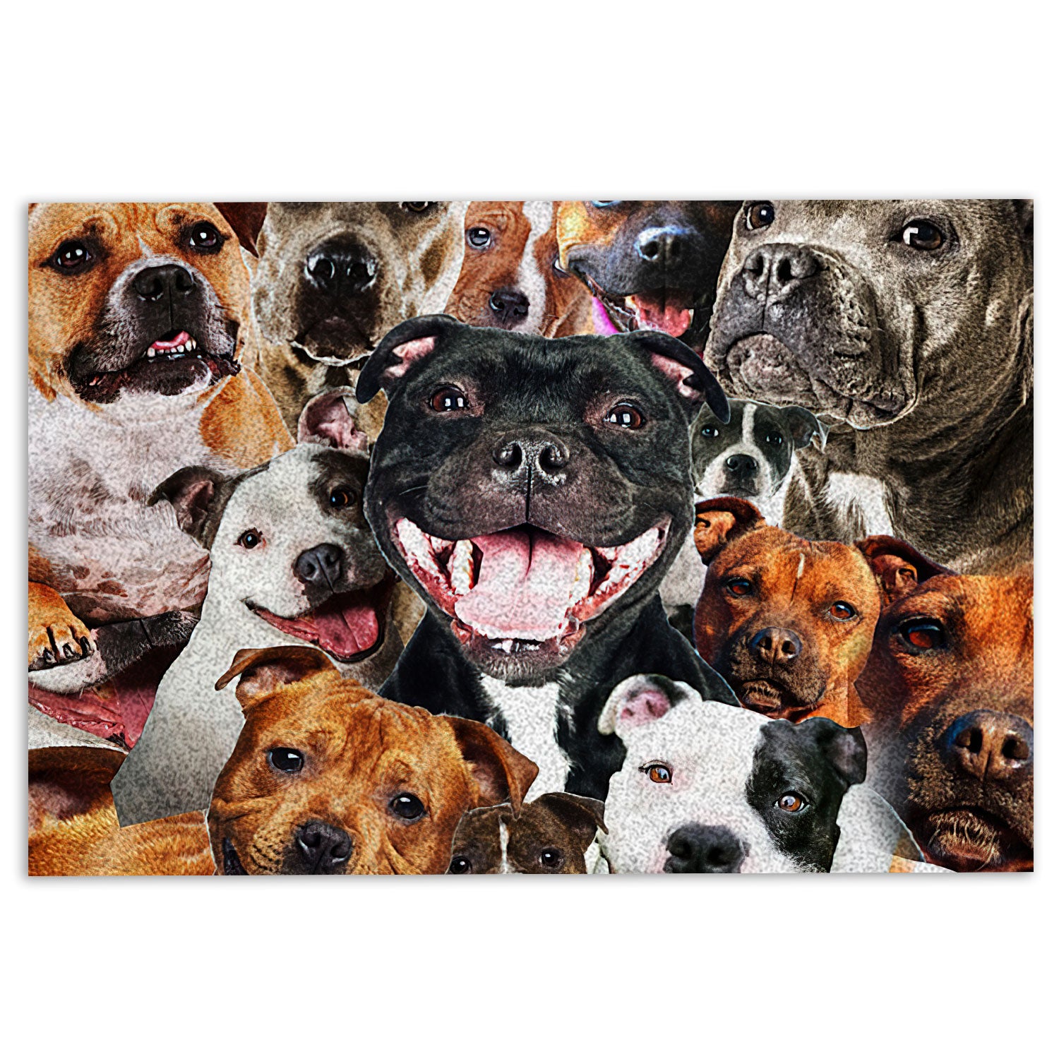 Pitbull Rubber Doormat, Funny Staffordshire Pitbull Terrier Dogs Hope You Like Dog Hair Welcome Doormat, Indoor Outdoor Door Mat, Home Decor
