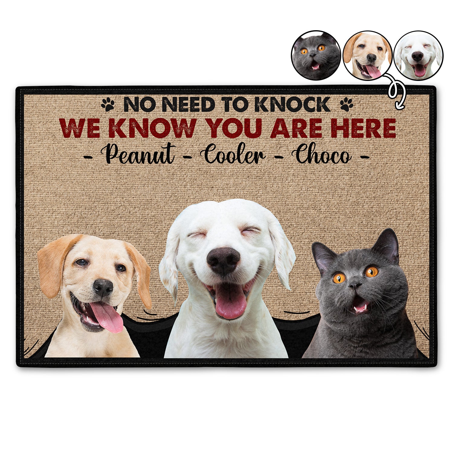 Custom Photo Dog Cat No Need To Knock Gift For Pet Lovers Doormat