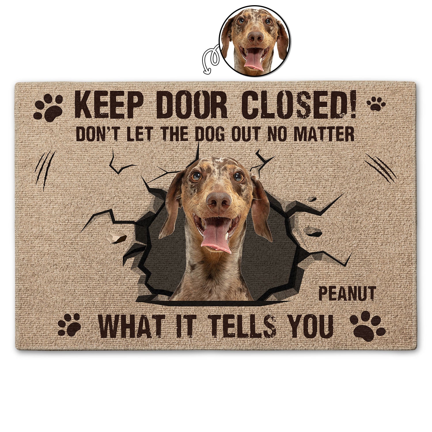 Custom Photo Dog Cat Keep Door Closed Gift For Pet Lovers, Pet Owners Doormat