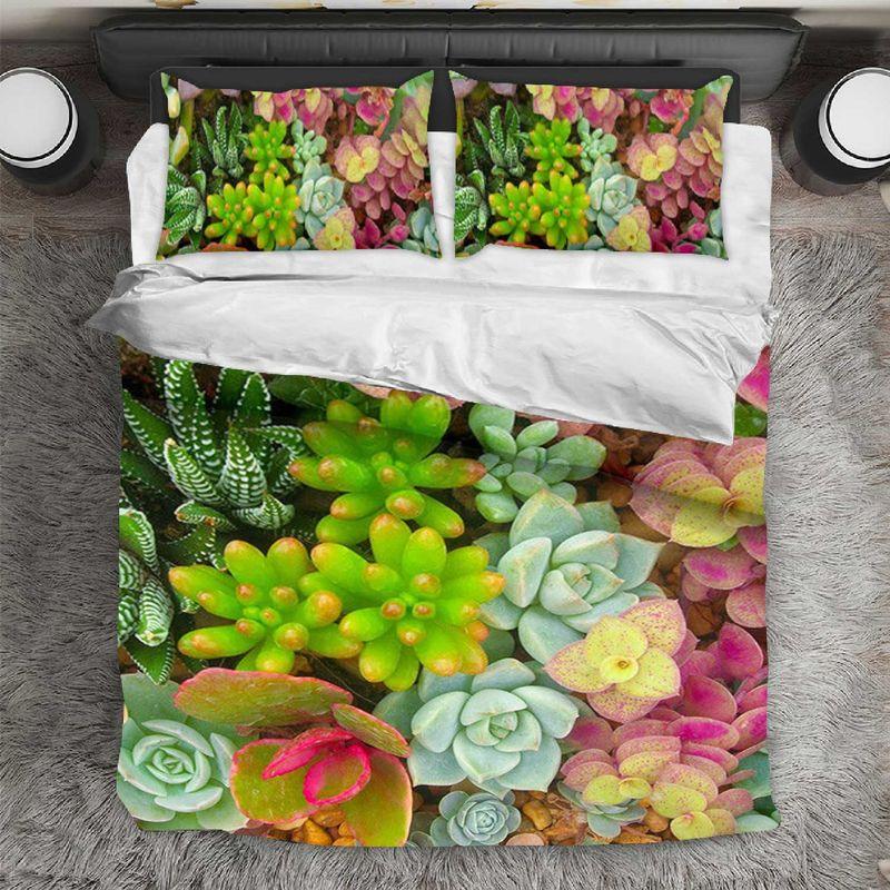 Color Succulent Plants Summer Bedding Set Plants Cactus Lovers Gift