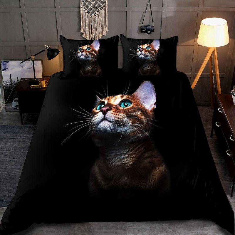 Cute Kitty Portrait Black Bacground Comforter Set Cats Blue Eye Scottish
