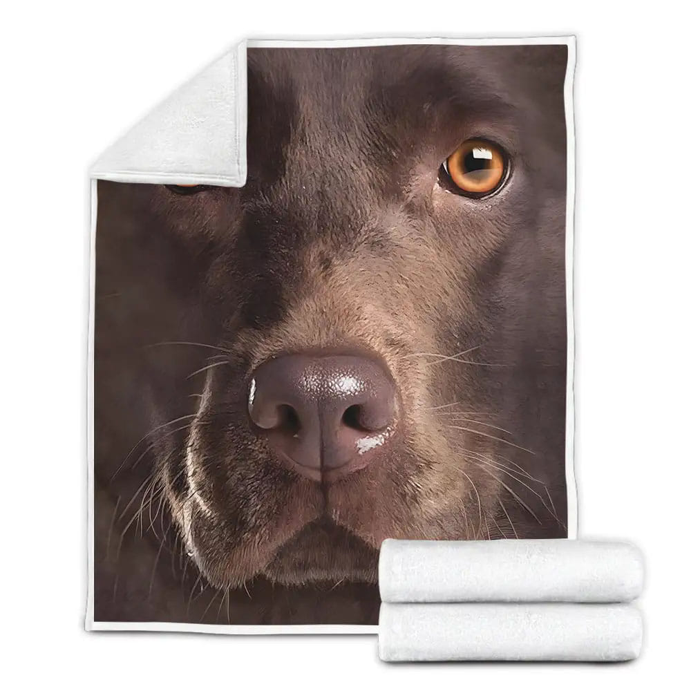 Chocolate Lab Fleece Blanket Gift For Birthday Halloween Christmas Thanksgiving