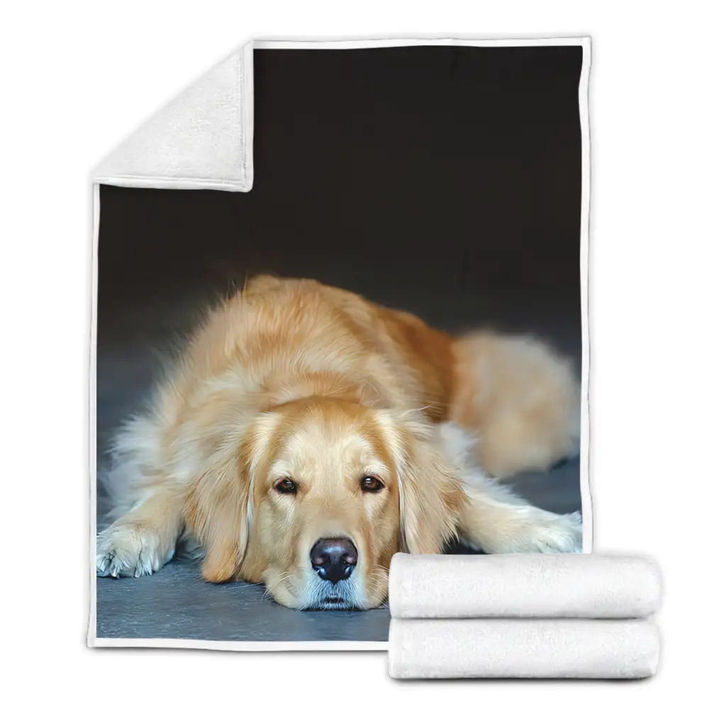 Golden Retriever Fleece Blanket Gift For Birthday Halloween Christmas Thanksgiving