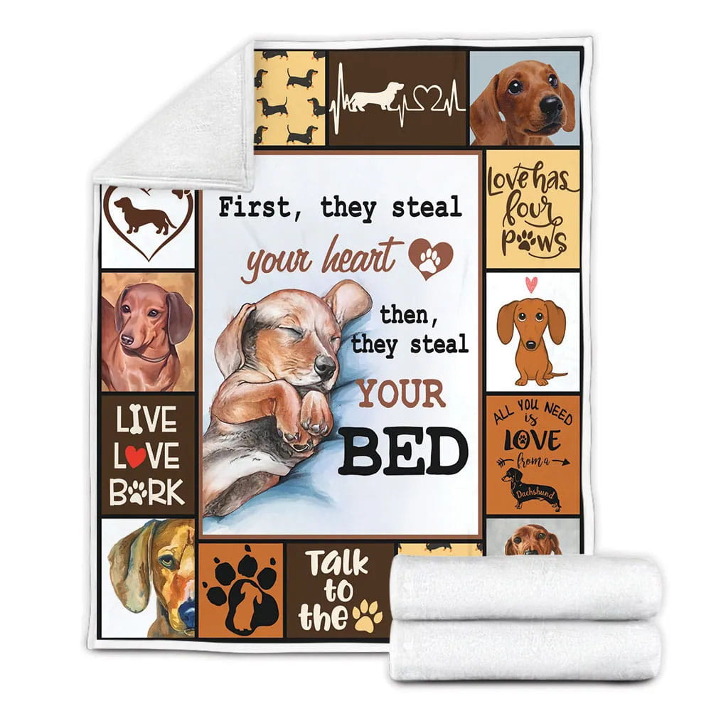 Dhund t Thteal Your Heart Fleece Blanket Gift For