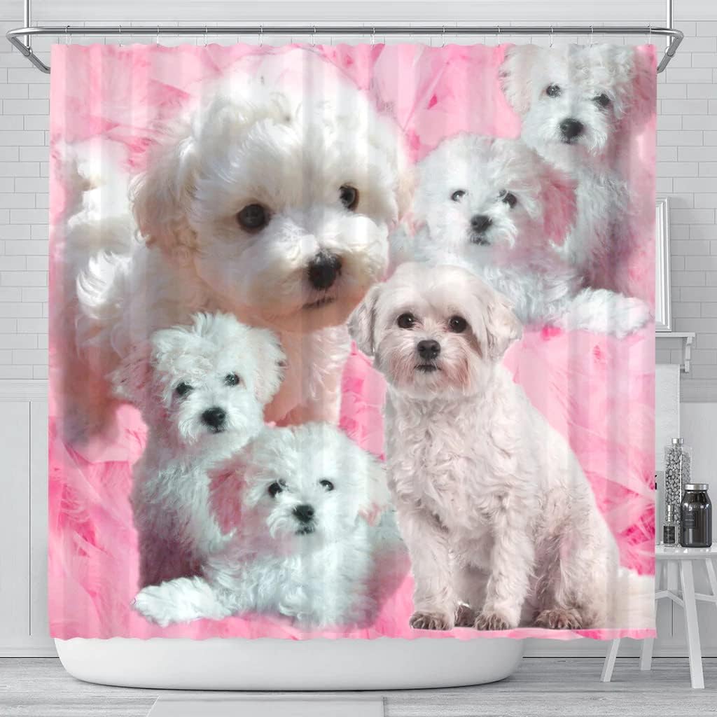 Cute Bolognese Dog Print Shower Curtain