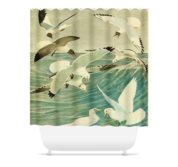Gulls And Kittiwakes Bird Shower Curtain Of New York Urban Bathroom Decor