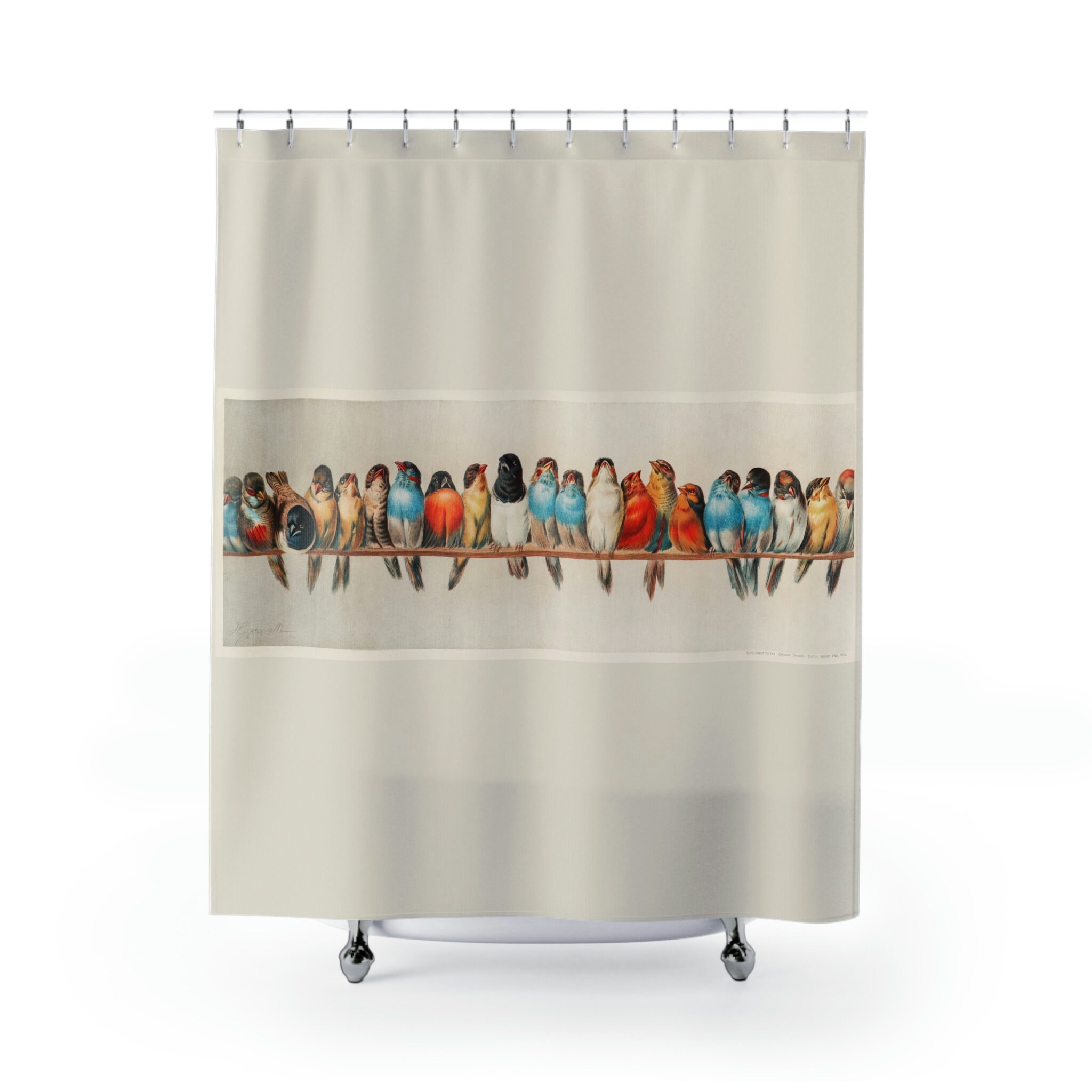 Colorful Bird Lover Shower Curtain Set With Bird Prints And Special Quotes Nature-Inspired Bathroom Decor